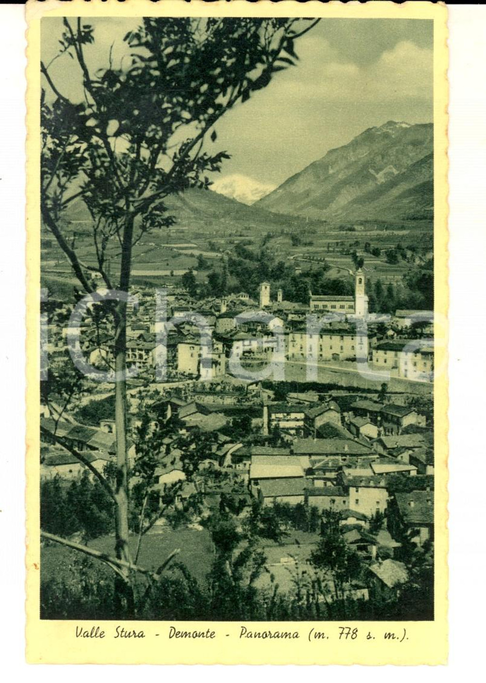 Cartolina originale da collezione 1941 DEMONTE CN Panorama del paese  Valle STURA Cartolina postale FP 1
