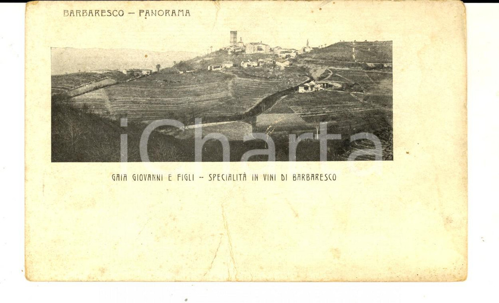 Cartolina originale da collezione 1910 ca BARBARESCO CN Panorama  Vini Giovanni GAIA Cartolina FP NV 1