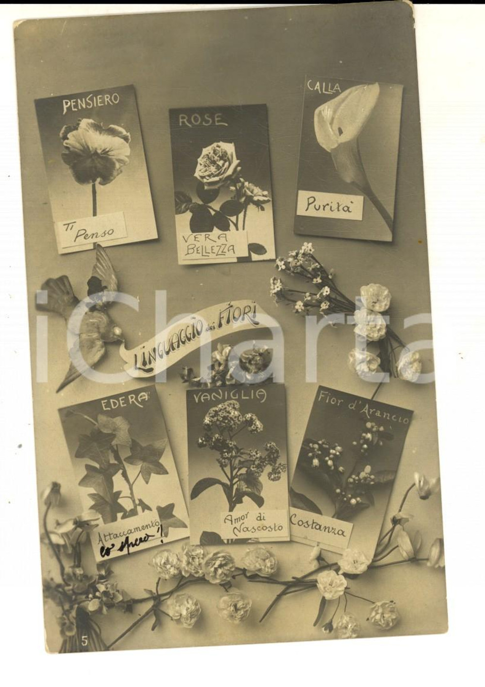 Cartolina originale da collezione 1909 COSTUMI Il linguaggio dei fiori Cartolina VINTAGE CURIOSA FP 1