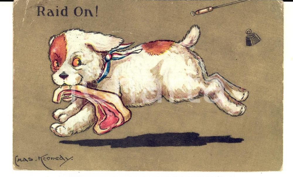 Cartolina originale da collezione 1946 COSTUMI Cane in fuga con l osso  Raid on! Cartolina ill. KENNEDY FP 1