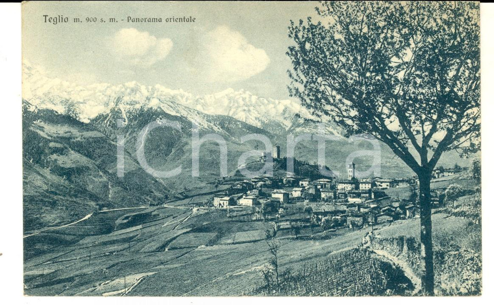 Cartolina originale da collezione 1937 TEGLIO SO Veduta panoramica dal lato orientale  Cartolina FP VG 1