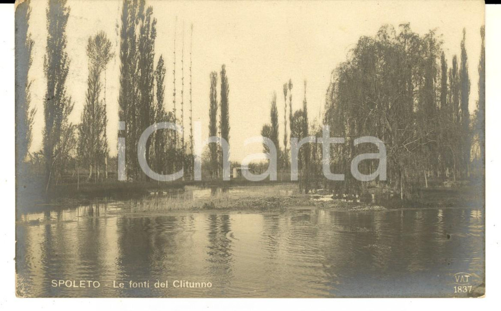 Cartolina originale da collezione 1911 SPOLETO PG Veduta delle fonti del CLITUNNO Cartolina postale FP VG 1