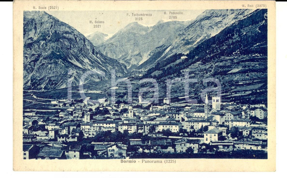 Cartolina originale da collezione 1925 BORMIO SO Panorama con M. SCALE e M. SOELNA Cartolina FP VG 1