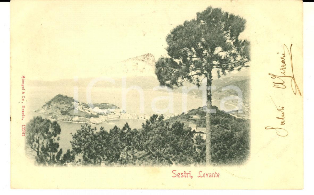 Cartolina originale da collezione 1900 SESTRI LEVANTE GE Panorama dall alto Cartolina VINTAGE FP VG 1