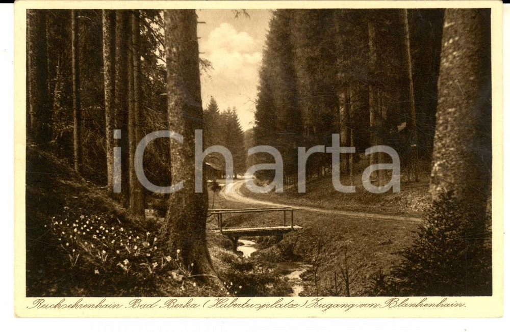 Cartolina originale da collezione 1934 BLANKEHAIN D Reichsehrenhain BAD BERKA VINTAGE postcard FP VG 1