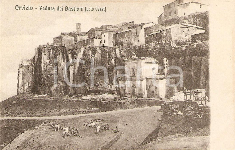 Cartolina originale da collezione 1935 ca ORVIETO TN Panorama dei bastioni con mucche e carretti Cartolina FP NV 1