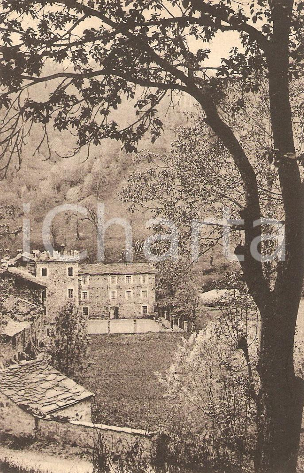 Cartolina originale da collezione 1930 PRADLEVES CN Panorama con il castello  VALLE GRANA Cartolina FP VG 1