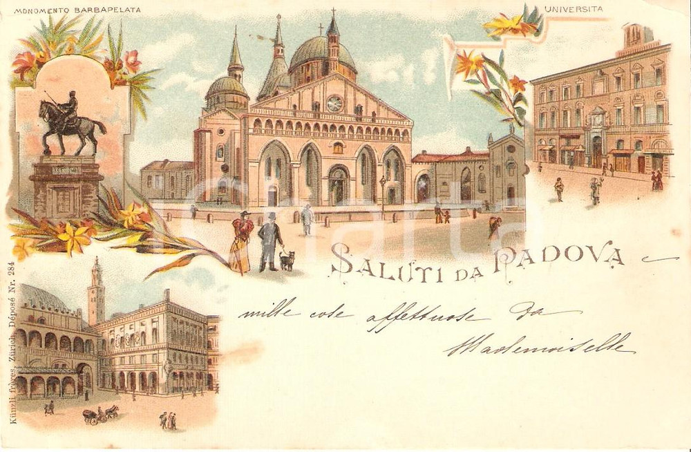Cartolina originale da collezione 1910 ca PADOVA Vedutine Monumento BARBAPELATA UniversitÃ  Cartolina FP NV 1
