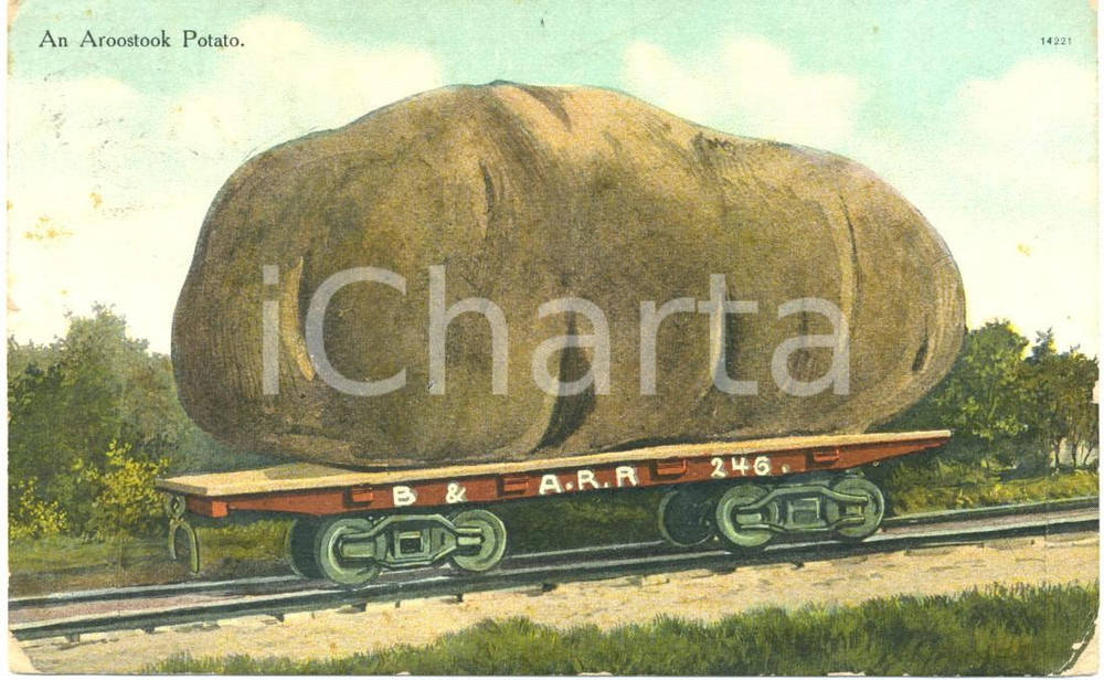 Cartolina originale da collezione 1909 AROOSTOK COUNTY, MAINE USA Patata gigante su vagone carro merci Cartolina 1