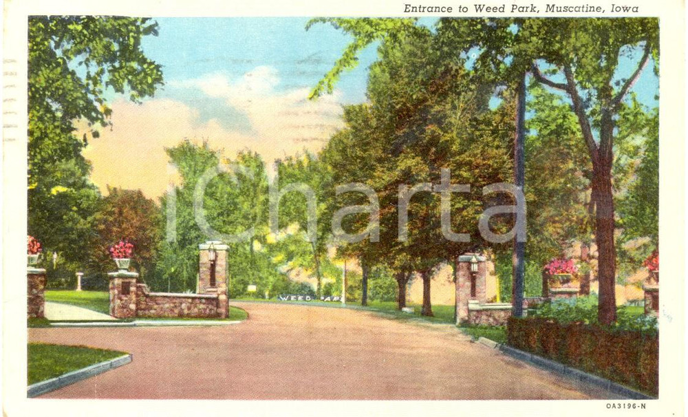 Cartolina originale da collezione 1953 MUSCATINE, IOWA USA L ingresso di WEED PARK Cartolina FP VG 1