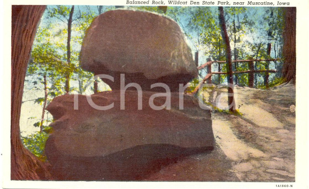 Cartolina originale da collezione 1950 ca MUSCATINE, IOWA USA Ammasso roccioso WILDCAT DEN STATE PARK FP NV 1