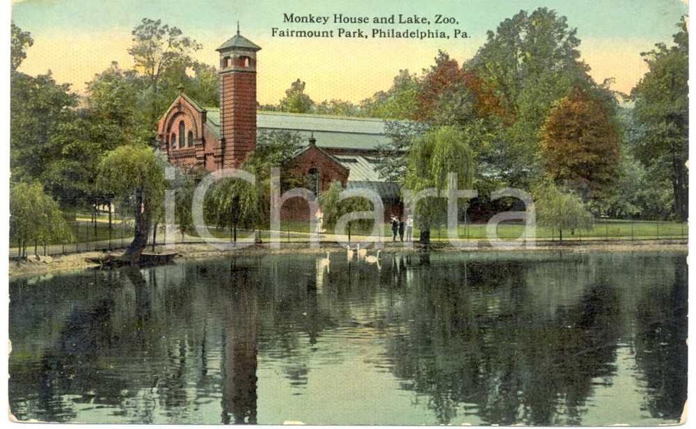 Cartolina originale da collezione 1940 ca PHILADELPHIA USA MONKEY House Lake ZOO Fairmount Park ANIMATA FP NV 1