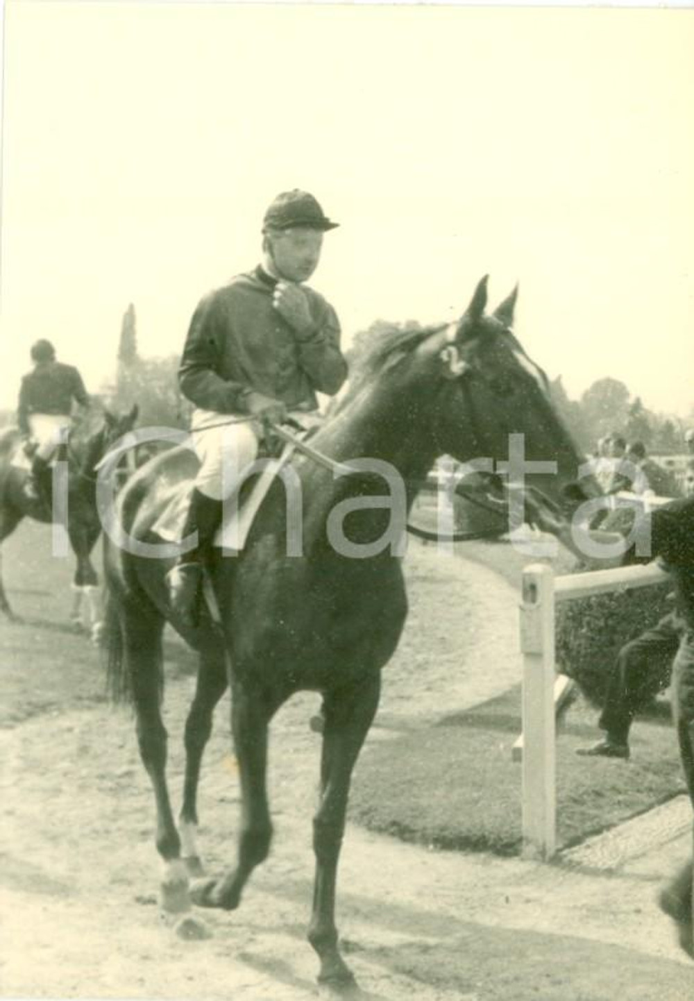 Fotografia d epoca originale 1963 MILANO SAN SIRO Ippodromo del trotto Fantino BARNI con cavallo DOTT. PAPI 1