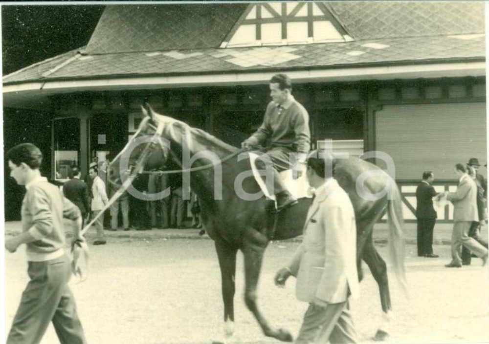 Fotografia d epoca originale 1963 MILANO SAN SIRO Ippodromo del trotto Il cavallo SORTILEGE si prepara Foto 1