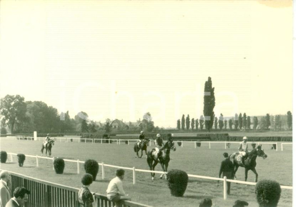 Fotografia d epoca originale 1963 MILANO Ippodromo trotto Ovidio PESSI rientra su Coq au Vin Foto cm 10 x 7 1