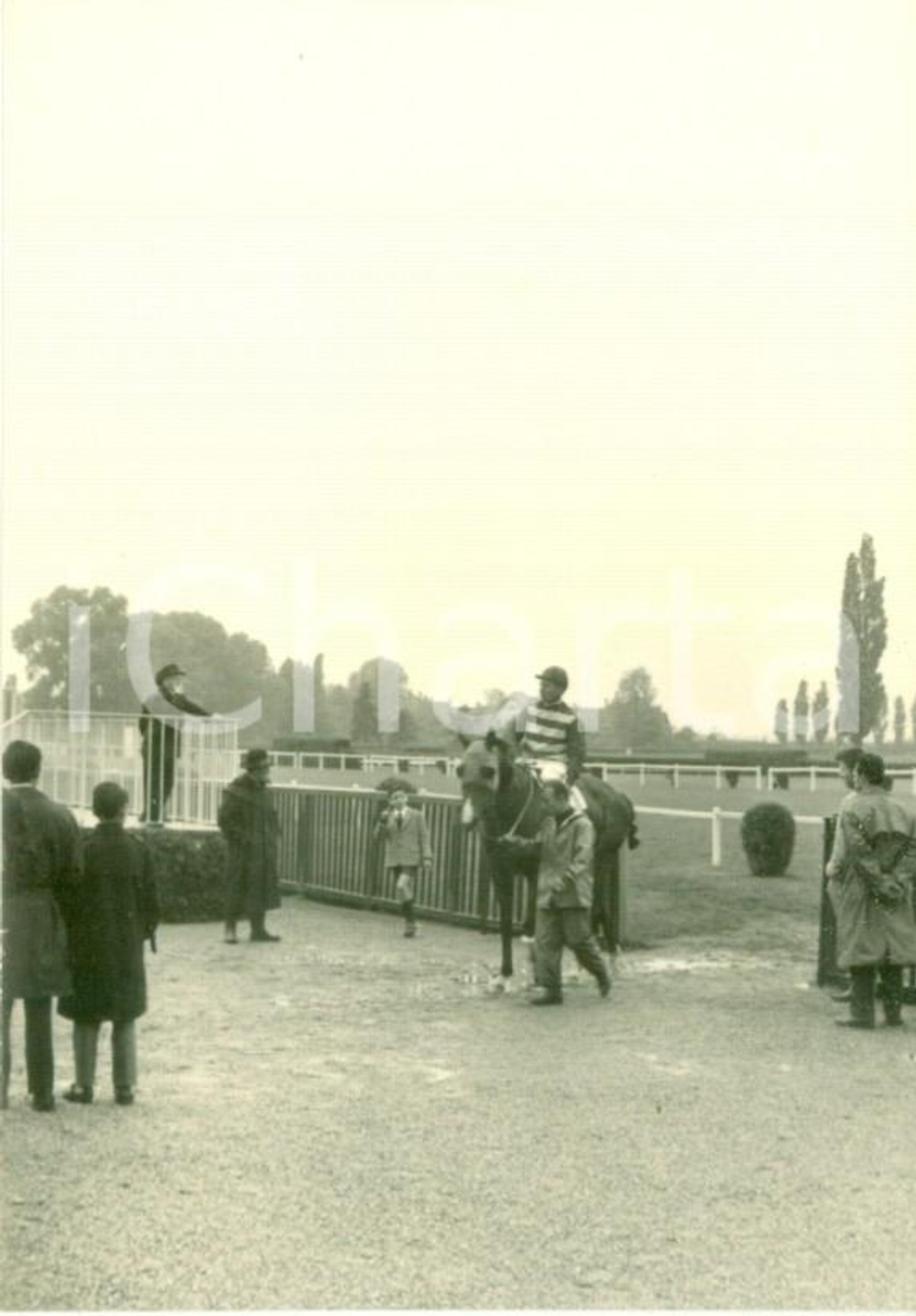 Fotografia d epoca originale 1963 MILANO Ippodromo trotto Rientro di cavalli e fantini con la pioggiaFOTO 1