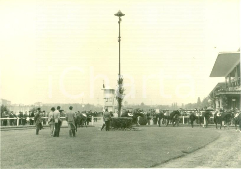 Fotografia d epoca originale 1963 MILANO Ippodromo trotto Rientro dei cavalli per la pioggia FOTO cm 10 x 7 1