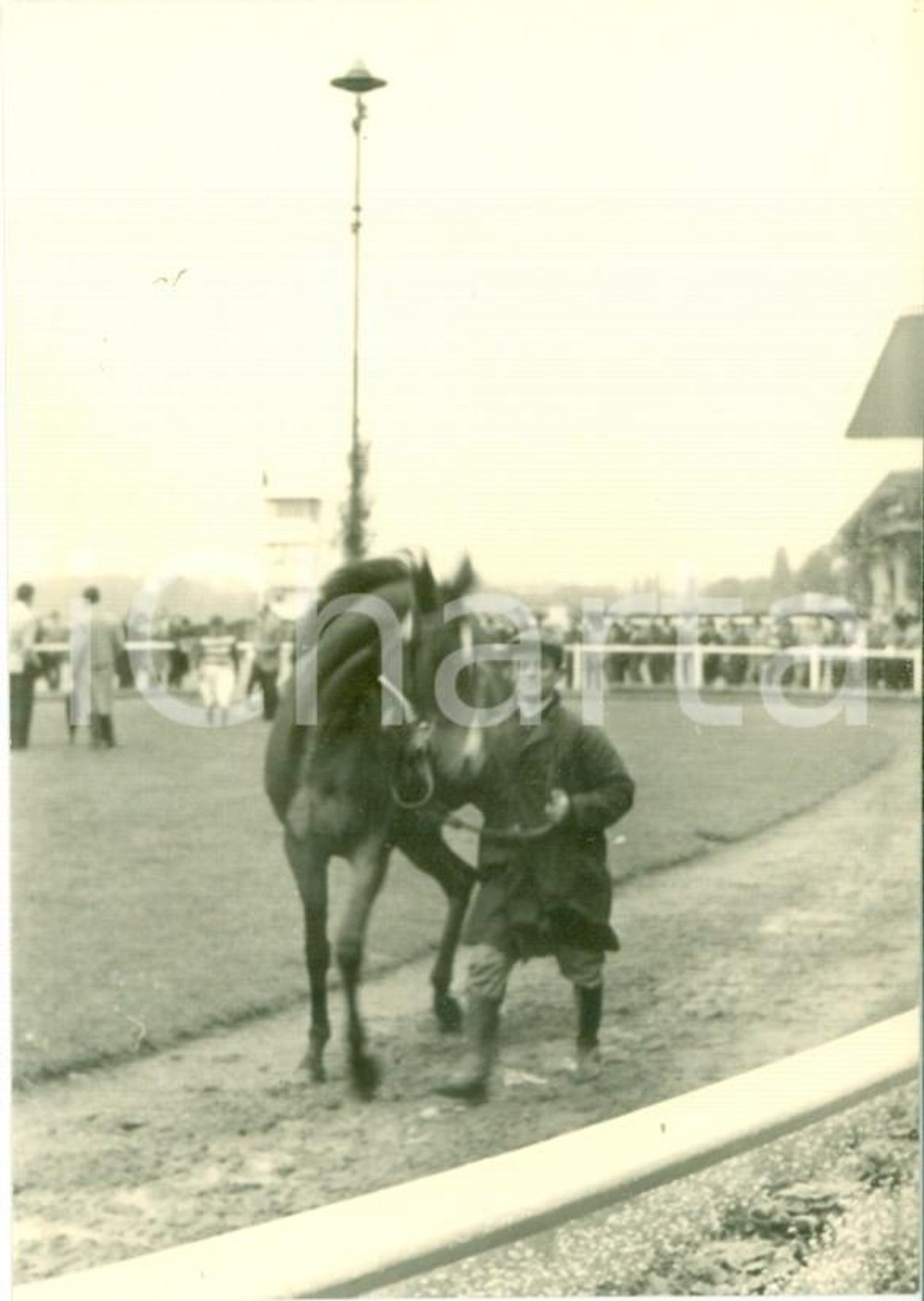 1963 MILANO Ippodromo trotto Fantino conduce cavallo alla lunghina per pioggia