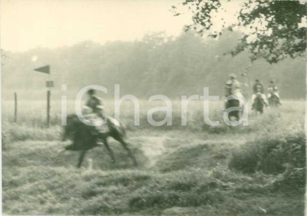 Fotografia d epoca originale 1963 TREVIGLIO BG Cavalli al galoppo al Parco del ROCCOLO Fotografia cm 10 x 7 1