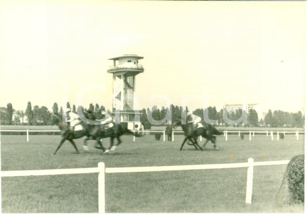 Fotografia d epoca originale 1963 MILANO SAN SIRO Cavalli in gara all Ippodromo del Galoppo Foto cm 10 x 7 1