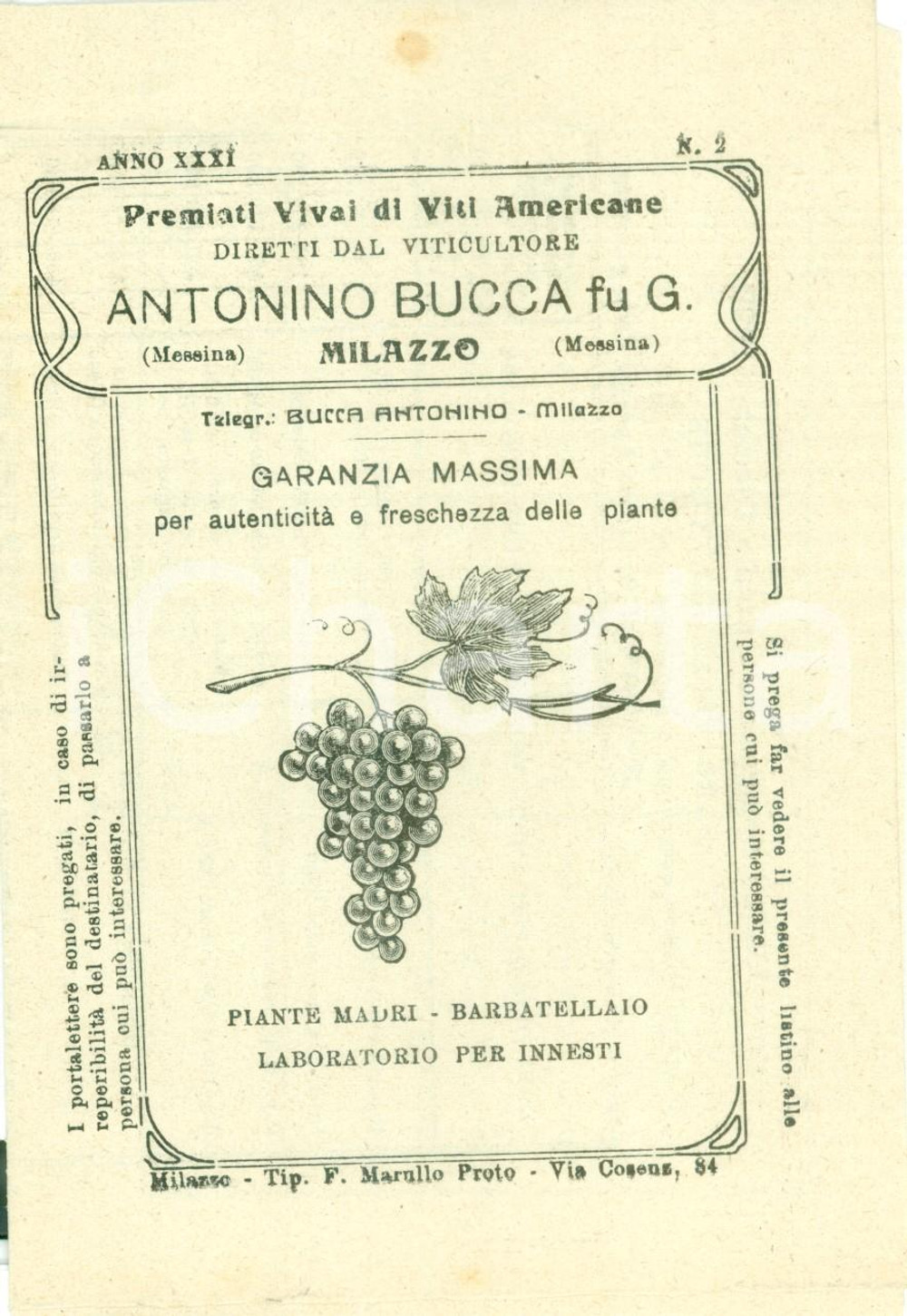 Materiale pubblicitario d’epoca 1930 MILAZZO ME Antonino BUCCA Premiati Vivai Viti Americane Listino prezzi 1