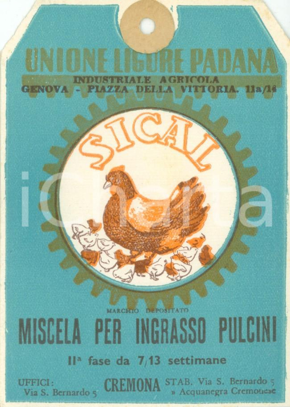 Materiale pubblicitario d’epoca 1950 ca GENOVA Unione Ligure Padana Etichetta SICAL Miscela per pulcini 1