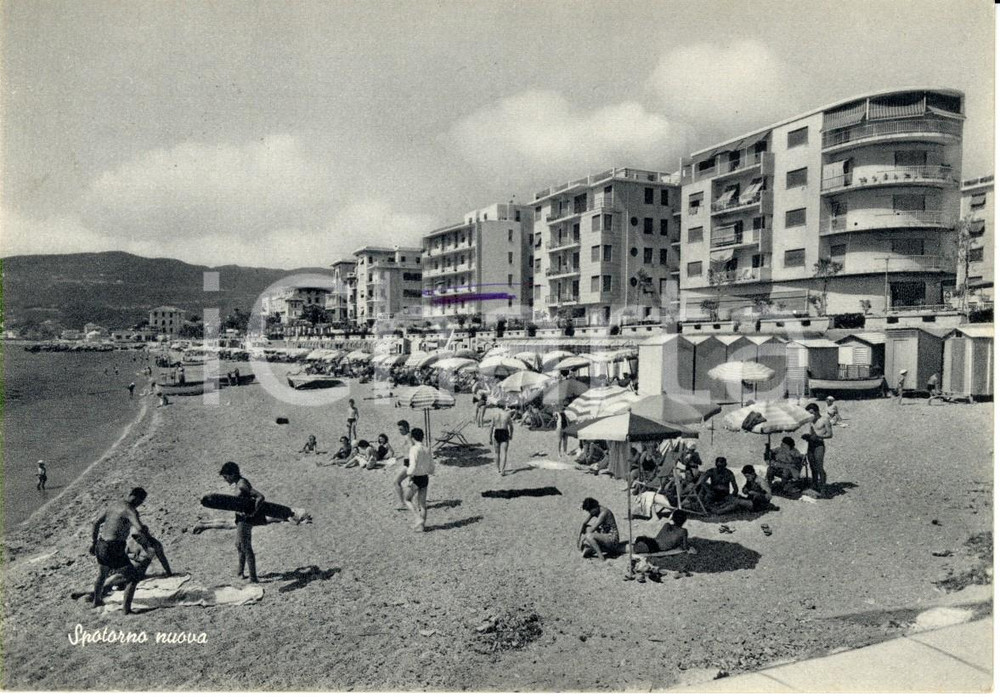Cartolina originale da collezione 1956 SPOTORNO SV Veduta della spiaggia con bagnanti Cartolina postale FG VG 1