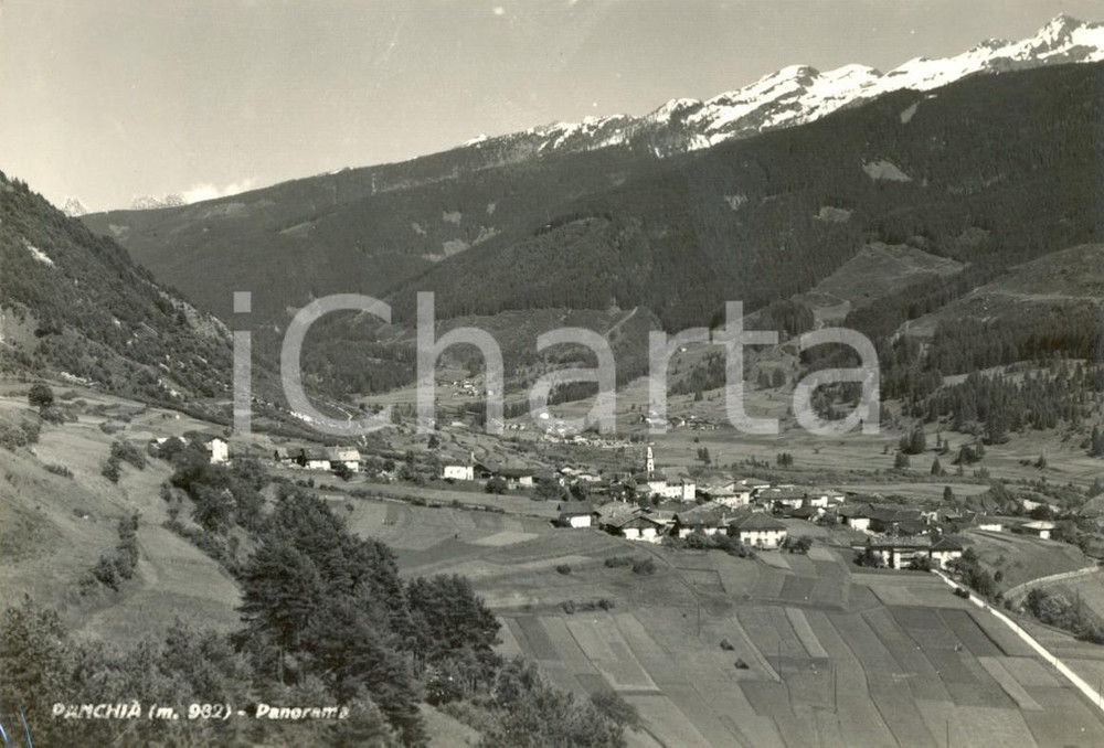 Cartolina originale da collezione 1956 PANCHIA TN Panorama del paese e della Valle di FIEMME Cartolina FG VG 1