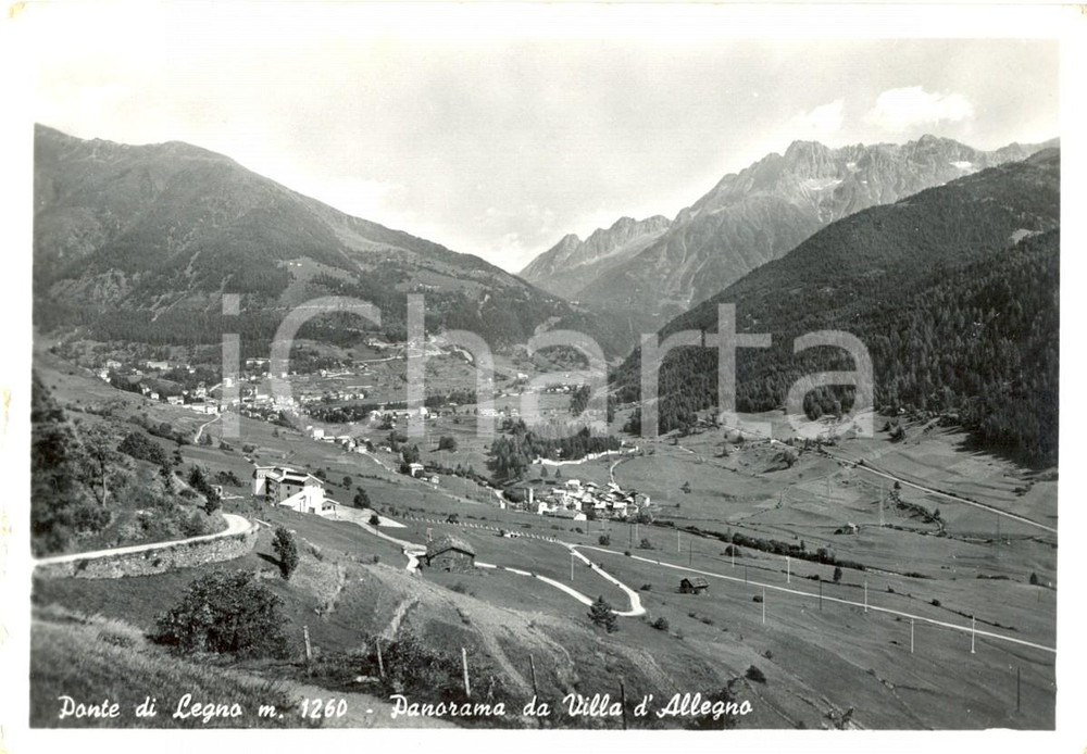 Cartolina originale da collezione 1962 PONTE DI LEGNO BS Panorama della Valle Camonica da VILLA D ALLEGNO FG VG 1