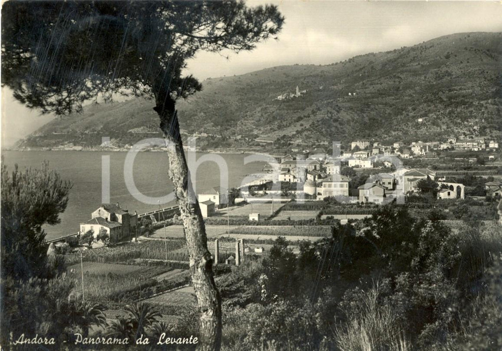 1949 ANDORA (SV) Panorama da levante della cittadina *Cartolina postale FG VG