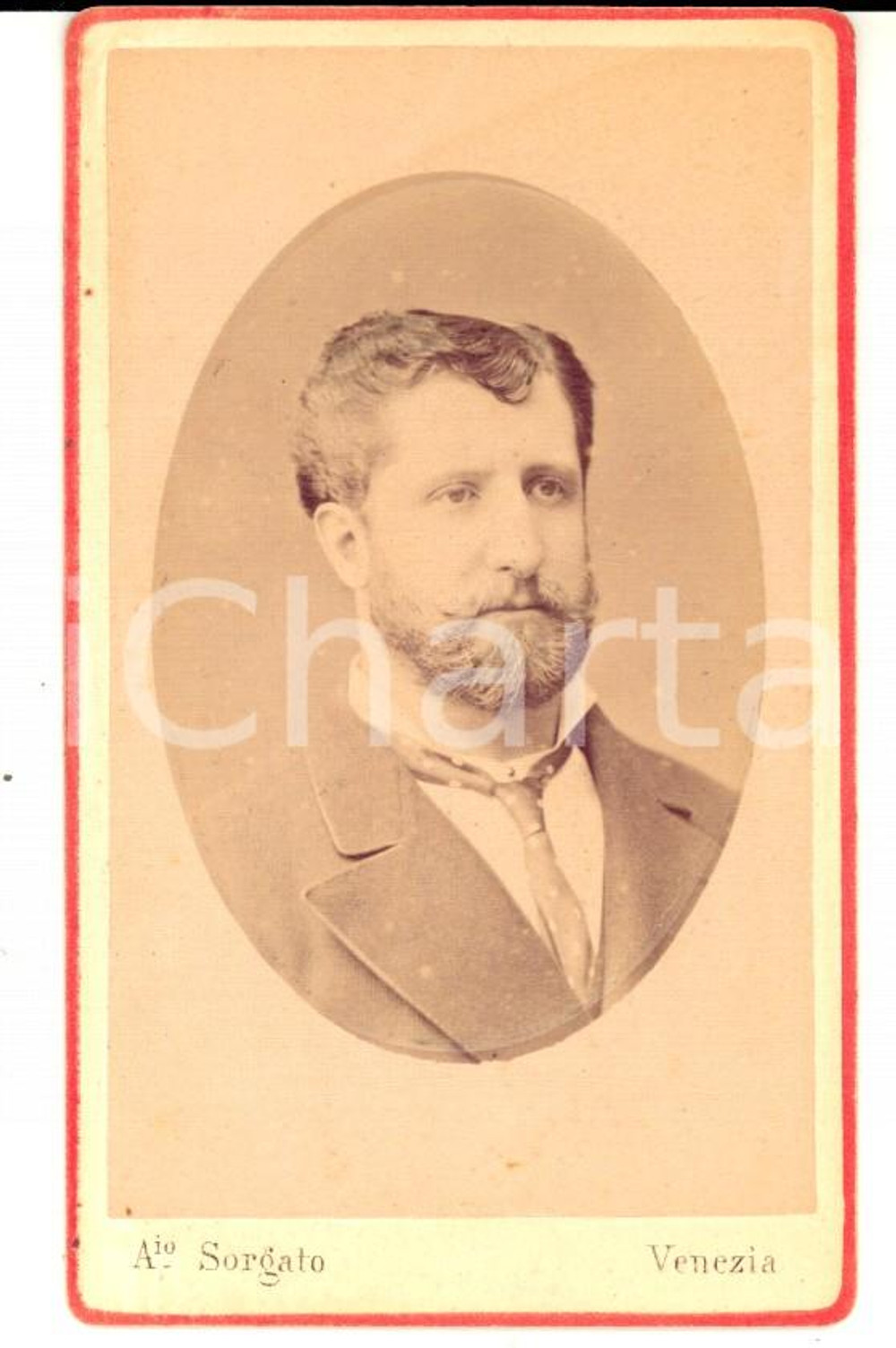 Fotografia d epoca originale 1870 ca VENEZIA Ritratto di giovane con cravatta a pois Foto Antonio SORGATO 1