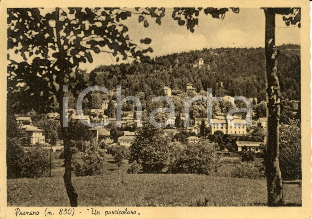 Cartolina originale da collezione 1953 PREMENO VB Veduta panoramica dell abitato Cartolina postale FG VG 1
