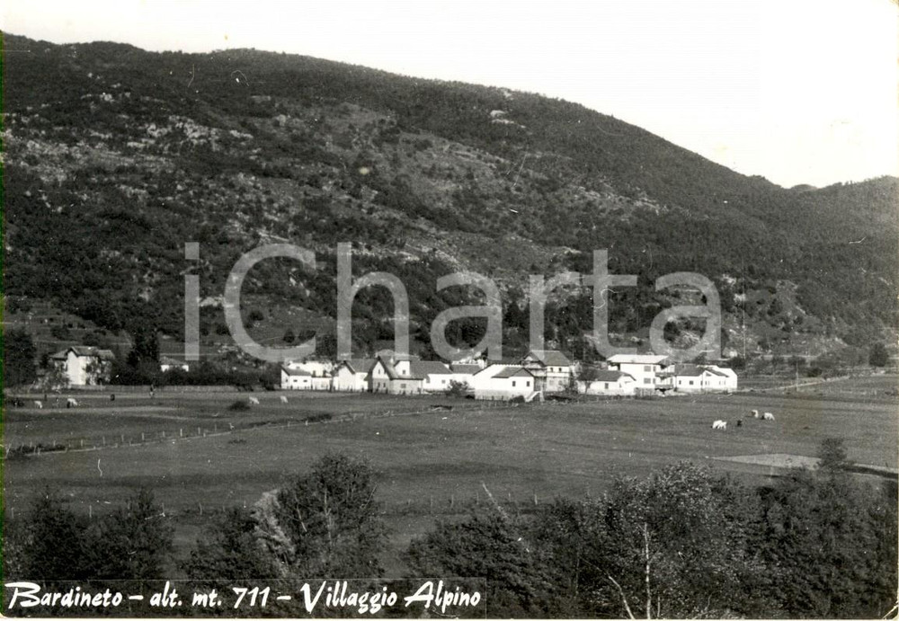 Cartolina originale da collezione 1960 ca BARDINETO SV Veduta del Villaggio Alpino Cartolina postale FG VG 1