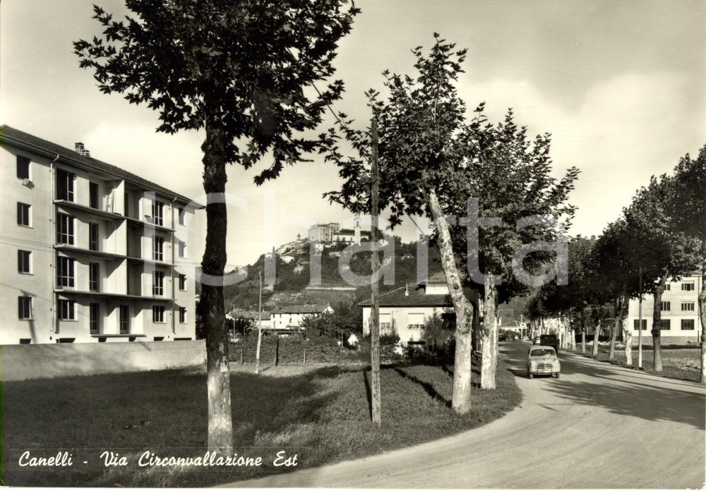 Cartolina originale da collezione 1955 ca CANELLI CN Via Circonvallazione Est con FIAT 600 Cartolina FG NV 1