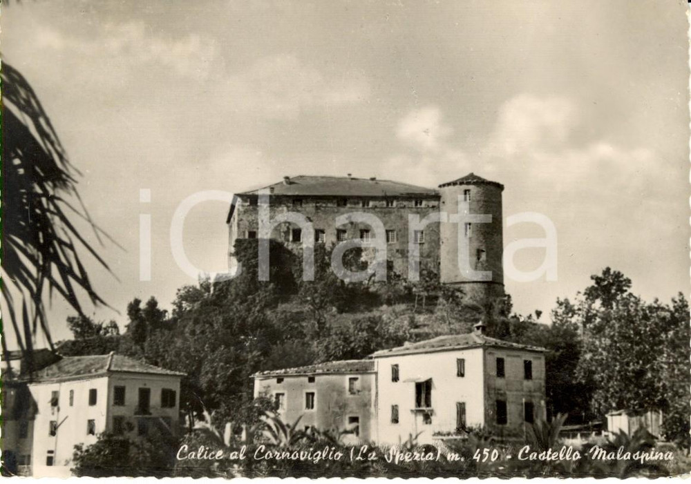 Cartolina originale da collezione 1954 CALICE AL CORNOVIGLIO SP Il castello MALASPINA Cartolina postale FG VG 1