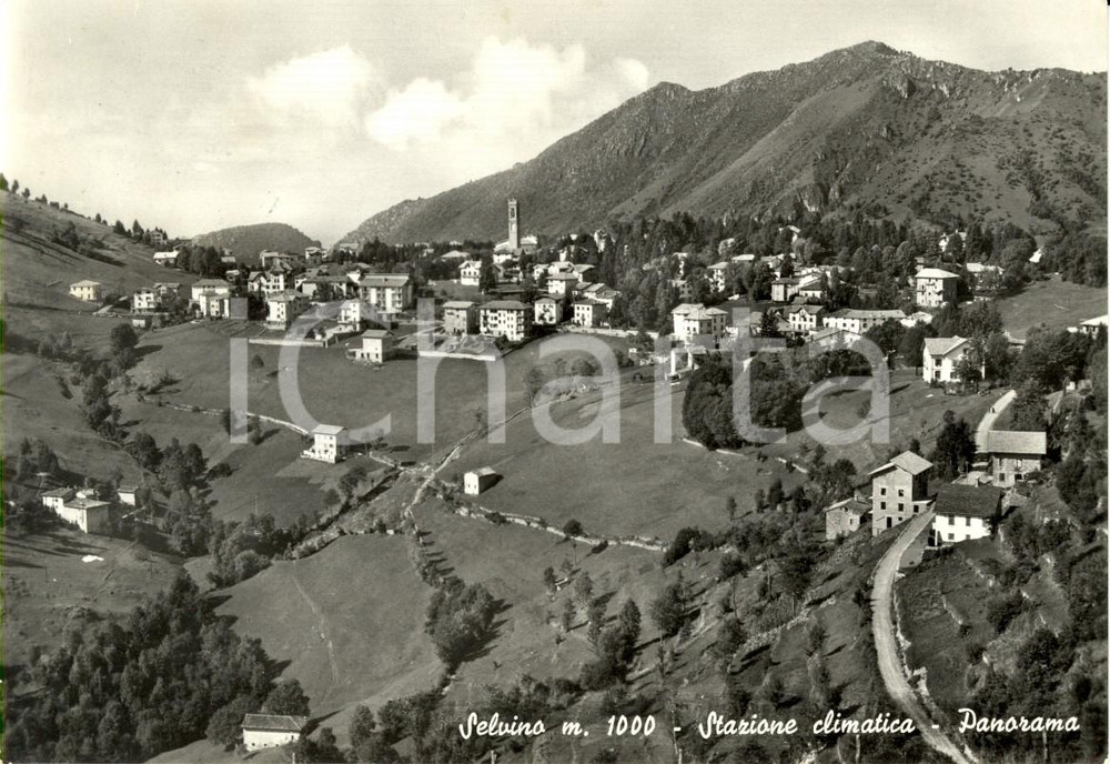 Cartolina originale da collezione 1958 SELVINO BG Veduta panoramica dell abitato Cartolina postale FG VG 1