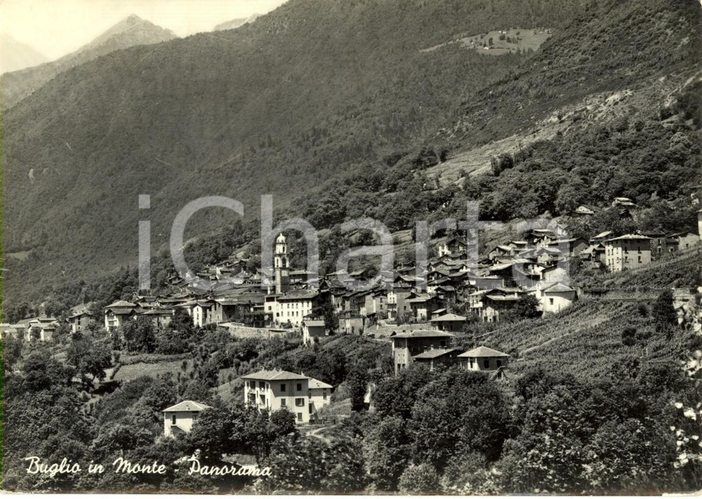 Cartolina originale da collezione 1958 BUGLIO IN MONTE SO Veduta panoramica dell abitato Cartolina postale FG VG 1