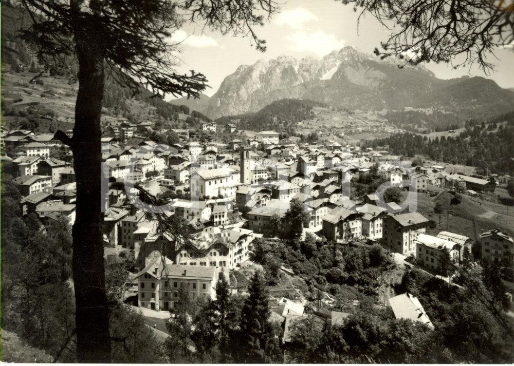 Cartolina originale da collezione 1950 ca LOZZO DI CADORE BL Panorama con il monte TUDAIO Cartolina FG NV 1