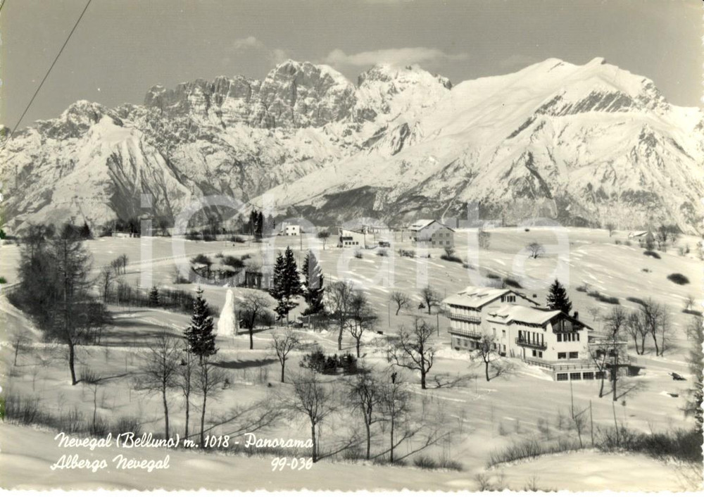 Cartolina originale da collezione 1964 BELLUNO Veduta panoramica di NEVEGAL con l albergo omonimo Cartolina FG VG 1