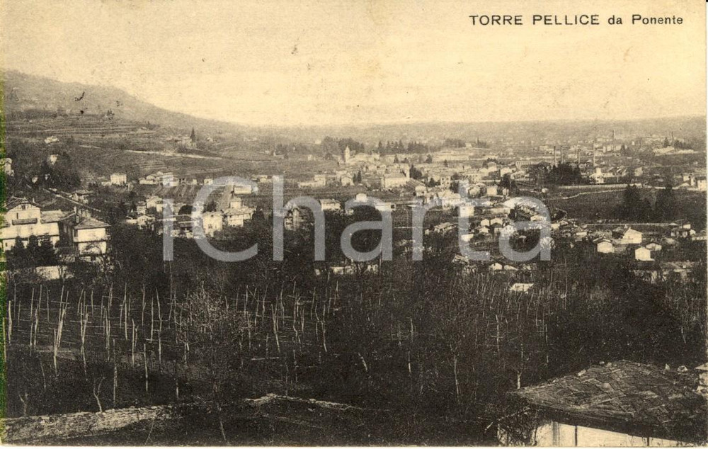 Cartolina originale da collezione 1924 TORRE PELLICE TO Veduta panoramica dell abitato da Ponente FP VG 1