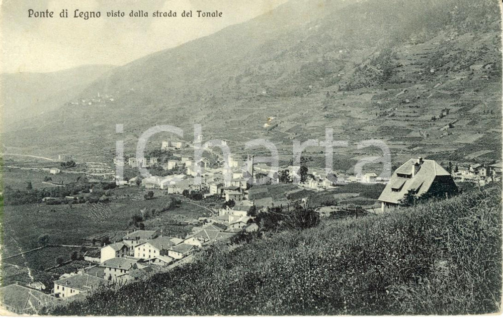 Cartolina originale da collezione 1920 ca PONTE DI LEGNO BS Il paese dalla strada per il Passo del TONALE FP NV 1