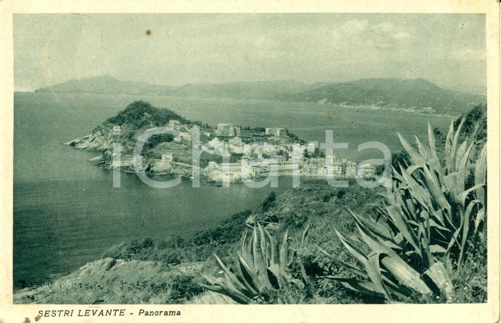 Cartolina originale da collezione 1944 SESTRI LEVANTE GE Veduta del centro cittadino Cartolina postale FP VG 1