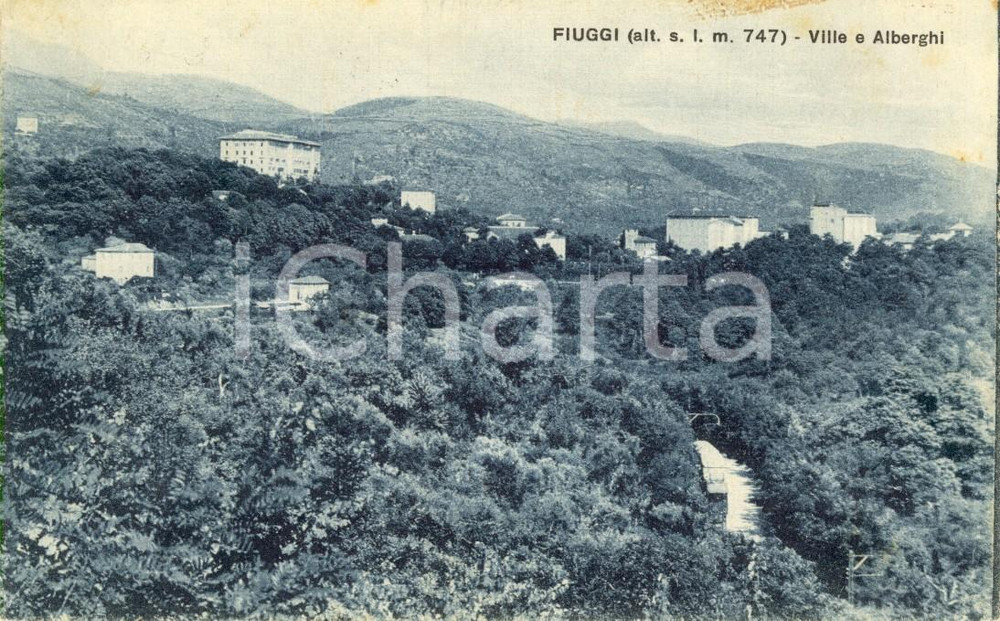 Cartolina originale da collezione 1930 FIUGGI FR Ville e alberghi nei dintorni della cittadina Cartolina FP VG 1