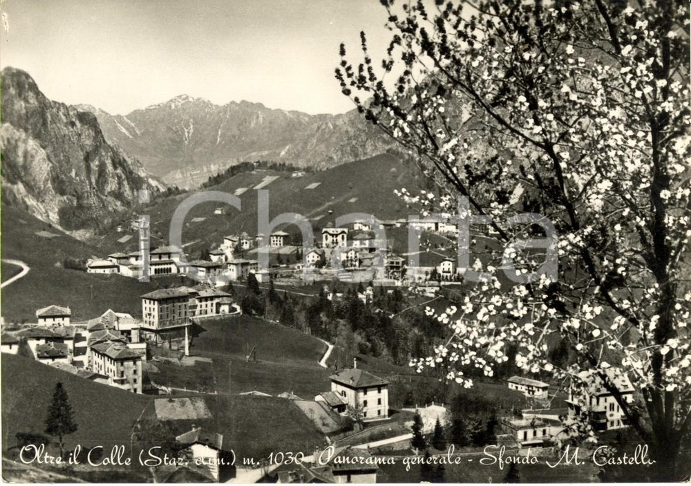 Cartolina originale da collezione 1950 ca OLTRE IL COLLE BG Panorama con monte CASTELLO sullo sfondo FG NV 1