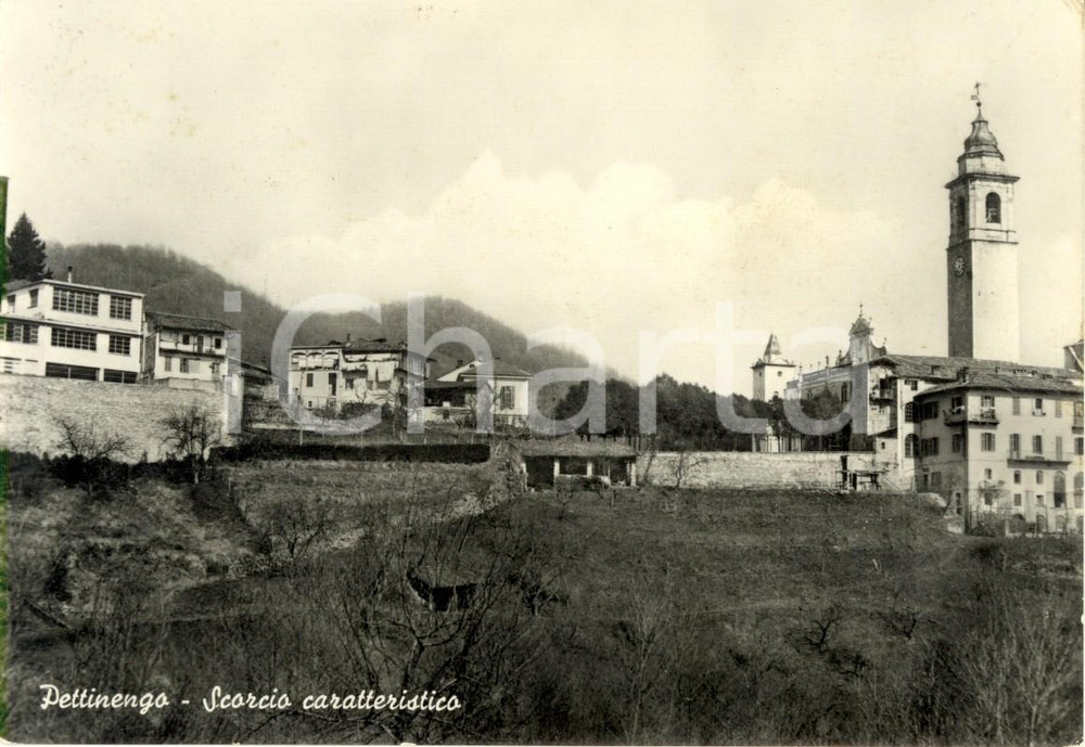 Cartolina originale da collezione 1958 PETTINENGO BI Scorcio del paese con chiesa SANTI STEFANO e GIACOMO FG VG 1