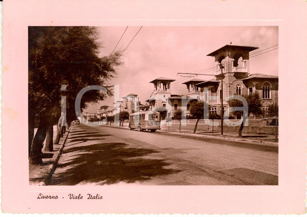 Cartolina originale da collezione 1950 LIVORNO Veduta di viale ITALIA con filobus Cartolina postale FG VG 1