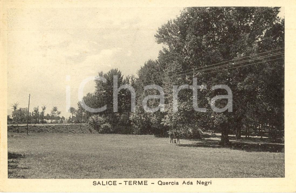 Cartolina originale da collezione 1928 SALICE TERME PV La quercia Ada NEGRI Cartolina postale ANIMATA FP VG 1