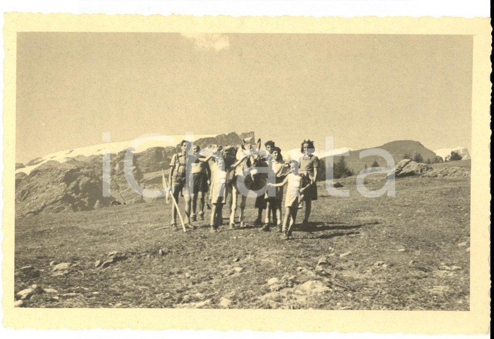 Fotografia d epoca originale 1940 ca TRENTINO ? Piccoli escursionisti con l asinello Foto VINTAGE 1