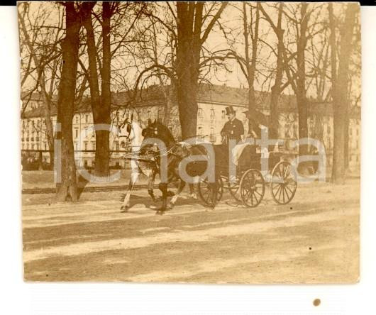 Fotografia d epoca originale 1890 ca AREA ITALIANA Calesse in transito lungo un viale cittadino Foto 6x5 cm 1