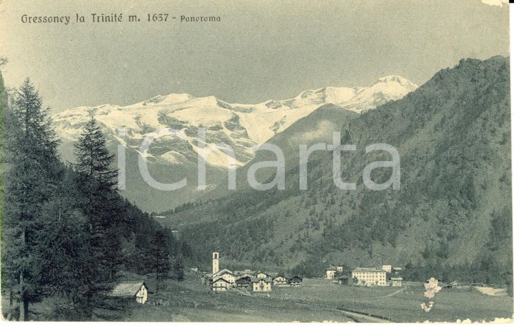 Cartolina originale da collezione 1920 ca GRESSONEYLATRINITE  AO Panorama del paese con Monte ROSA FP NV 1